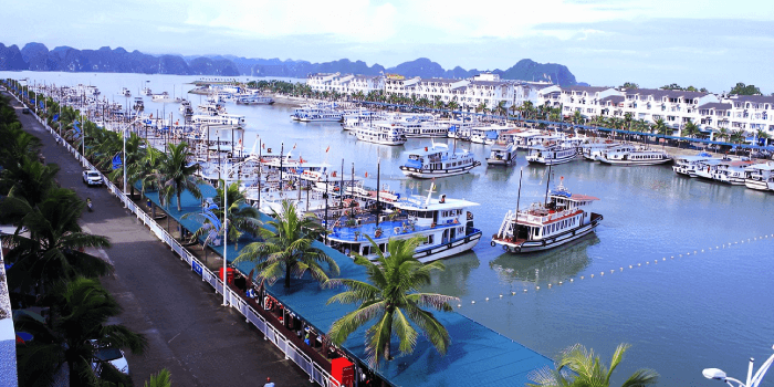 tuan-chau-harbor